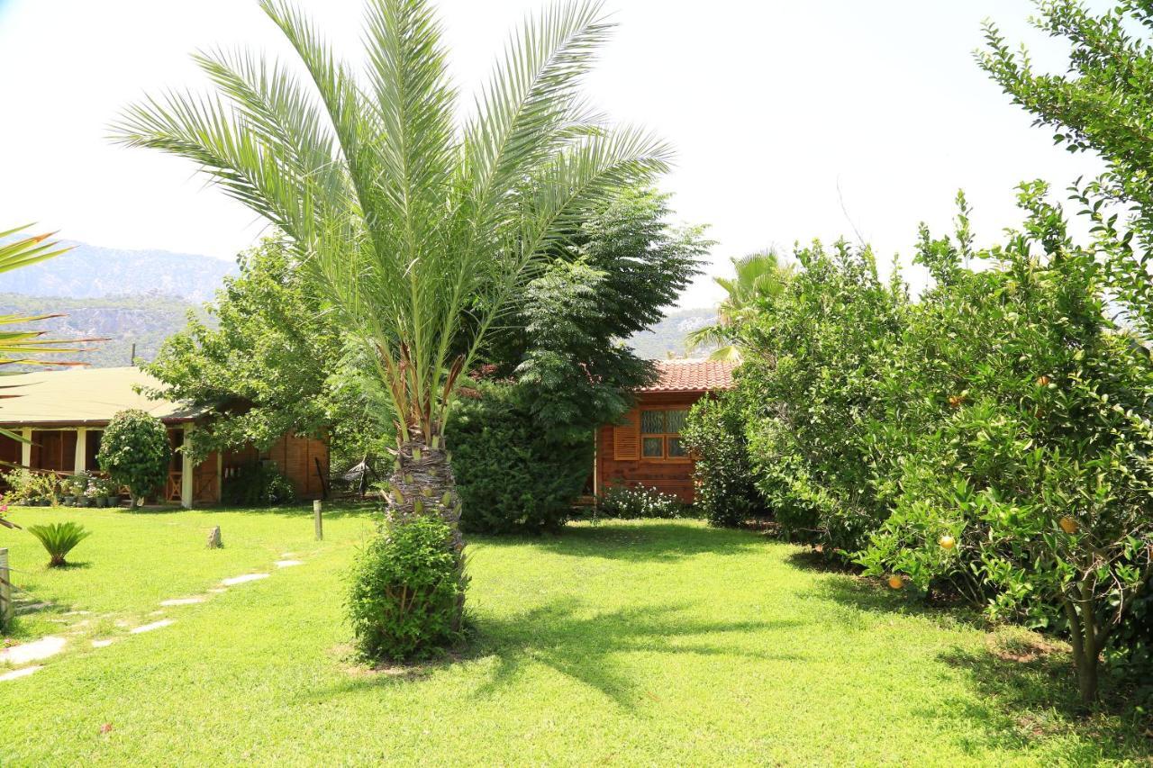 Tunays Pansiyon Bed and Breakfast Çıralı Esterno foto
