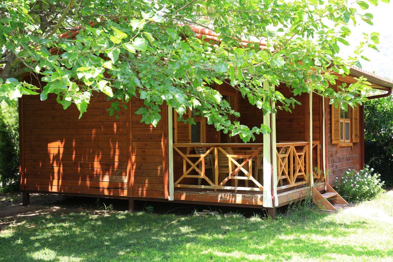 Tunays Pansiyon Bed and Breakfast Çıralı Camera foto