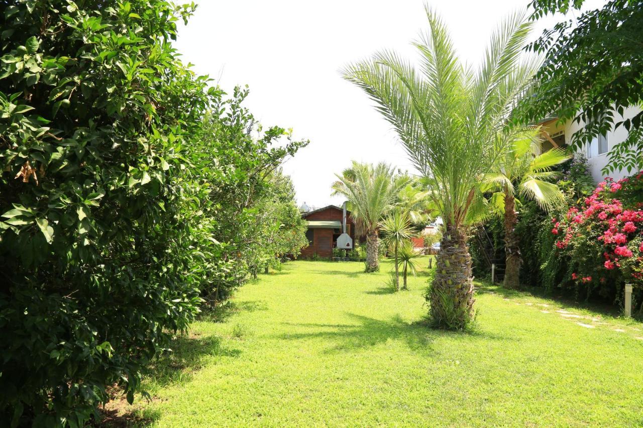 Tunays Pansiyon Bed and Breakfast Çıralı Camera foto