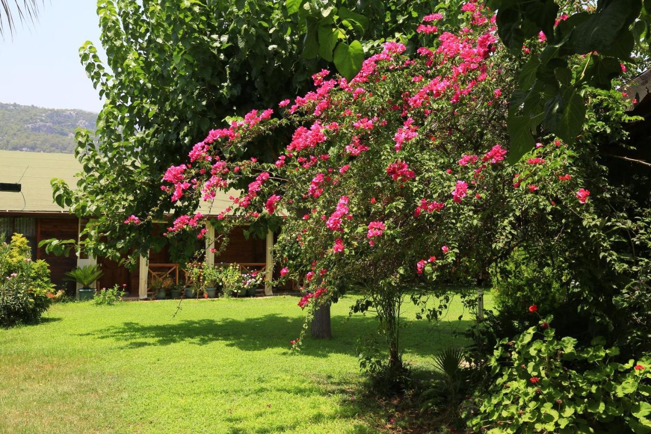 Tunays Pansiyon Bed and Breakfast Çıralı Esterno foto